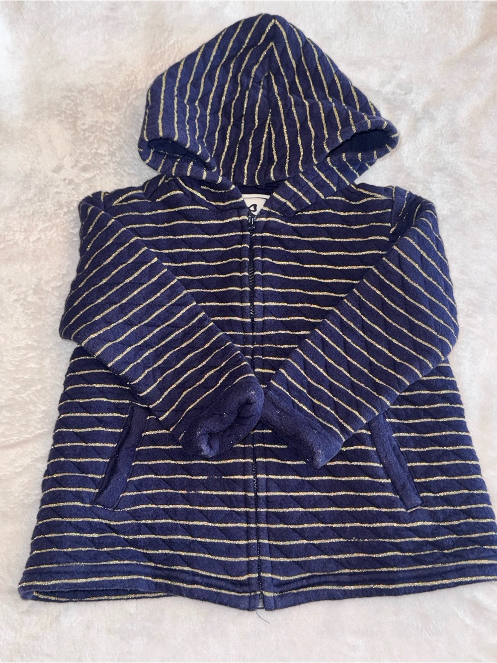 Gymboree Navy Hooded Zip-Up with Gold Stripes